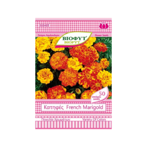 French Marigold
